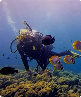 underwater-encounter