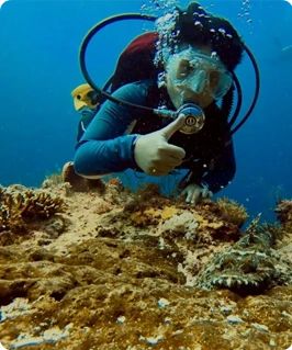 underwater-encounter