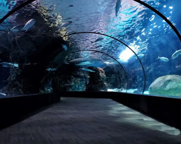 Dive Inn Resort